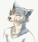  2020 anthro beastars black_nose bust_portrait canid canine canis clothed clothing fur grey_body grey_fur legoshi_(beastars) licking licking_lips looking_at_viewer mammal portrait scar shirt simple_background solo t-shirt tongue tongue_out topwear white_background wolf zhiibe 