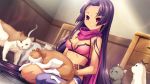  1girl belt bikini_top black_hair black_legwear breasts cat cat_on_lap cleavage cutoffs denim denim_shorts forehead game_cg hikage_eiji indoors koihime_musou long_hair lying lying_on_lap navel pink_bikini_top purple_scarf red_eyes scarf short_shorts shorts shuutai single_thighhigh sitting sleeping smile suzukuri_karin-chan thighhighs very_long_hair 