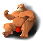  2016 anthro balls belly brown_body brown_fur clothing fur humanoid_hands male mammal moobs navel nipples overweight overweight_male simple_background solo tail_person underwear ursid 