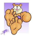  5_toes anthro benjipaws brown_body brown_fur buckteeth feet female foot_focus fur hi_res humanoid_feet mammal nickelodeon rodent sandy_cheeks sciurid spongebob_squarepants teeth toes 