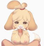  animal_crossing anthro blush blush_stickers breasts brown_eyes canid canine canis censored dogscribss domestic_dog female fur hair isabelle_(animal_crossing) male male/female mammal mosaic_censorship nintendo nipples nude open_mouth penis sex shih_tzu simple_background smile teeth titfuck tongue toy_dog vein video_games white_background yellow_body yellow_fur 