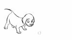  16:9 ambiguous_gender animated ball canid canine canis domestic_dog feral mammal open_mouth playful playing simple_background tailwag white_background willow-s-linda 