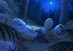  2020 4_toes 5_fingers anthro clothed clothing detailed_background digital_media_(artwork) felid fingers forest full_moon grass hair kero_tzuki lion lying male mammal moon night on_back outside pantherine rock sky solo toes topless tree white_hair 