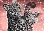  2020 4_toes black_spots digital_media_(artwork) felid flashw fur green_eyes grey_body grey_fur mammal pantherine snow_leopard spots spotted_body spotted_fur toes 