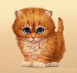  2019 chiakiro domestic_cat felid feline felis feral fur looking_at_viewer mammal orange_body orange_fur pink_nose solo text url whiskers 