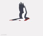  ambiguous_gender animated avian beak bird chiakiro feathers feral flying grey_body grey_feathers loop multicolored_body multicolored_feathers nintendo pok&eacute;mon pok&eacute;mon_(species) side_view simple_background swellow talons video_games white_background 