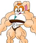  abs anthro biceps big_breasts big_muscles blue_eyes breasts brown_eyes chao_(sonic) cream_the_rabbit duo female huge_muscles hyper hyper_muscles muscular muscular_female navel simple_background size_difference sonic_the_hedgehog_(series) what white_background zatchbell19 