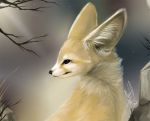  2011 ambiguous_gender black_eyes black_nose branch canid canine cheek_tuft danji-isthmus dated detailed_background digital_media_(artwork) digital_painting_(artwork) facial_tuft fennec feral fox fur fur_markings half-length_portrait inner_ear_fluff looking_away looking_back mammal markings multicolored_body multicolored_fur neck_tuft night nude outside portrait quadruped side_view signature sitting sky solo star tan_body tan_fur tree tuft two_tone_body two_tone_fur white_body white_fur 
