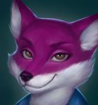  anthro blizzard_entertainment canid canine fox invalid_tag ketlimur male mammal portrait solo video_games warcraft 