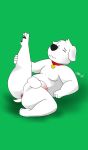  2019 anus balls big_butt brian_griffin butt cake_top canid canine canis collar digital_media_(artwork) domestic_dog eyes_closed family_guy fur genitals hi_res humanoid_penis male mammal nude penis short_stack simple_background slightly_chubby solo stretching thick_thighs white_body white_fur 