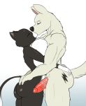  anthro anthro_on_anthro balls big_breasts bolt bolt_(film) breasts butt canid canine canis disney domestic_cat domestic_dog duo eyes_closed felid feline felis female genitals gloves_(marking) hand_on_butt hi_res huge_breasts humanoid_penis interspecies kissing male male/female mammal markings mittens_(bolt) muscular muscular_male nude penis seii3 