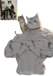  absurdres animal animal_on_shoulder cat cat_focus closed_mouth collar commentary english_commentary highres looking_at_viewer muscle no_humans on_shoulder original phachandam photo-referenced reference_work signature simple_background upper_body veins white_background 