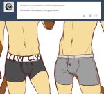  arno ask_blog brother brothers bulge celio clothed clothing domestic_cat duo felid feline felis male mammal peritian siamese sibling twins underwear 