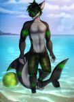  2020 4_toes 5_fingers beach black_hair black_sclera clothed clothing day detailed_background digital_media_(artwork) fingers fish green_eyes hair hi_res marine outside padjetxharrington sand seaside shark shoreline sky toes topless water 