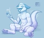  2020 4_fingers 4_toes animal_genitalia anthro balls bullet_vibe canid canine digital_media_(artwork) fingers fur genitals male mammal open_mouth penetration sex_toy sheath sheath_penetration sheath_play sitting solo teeth thesecretcave toes tongue vibrator 