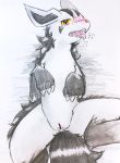  begging begging_pose black_body black_fur black_markings blush bodily_fluids breath claws clitoris colored_pencil_(artwork) countershading eiroru female feral fluffy fluffy_tail fur genital_fluids genitals grey_body grey_countershading grey_fur hi_res huff inviting looking_at_viewer lying markings mightyena multicolored_body multicolored_fur nintendo on_back open_mouth pok&eacute;mon pok&eacute;mon_(species) pose pussy pussy_juice quadruped red_eyes red_nose saliva sharp_teeth snout solo spread_legs spreading striped_tail stripes tears teeth tongue tongue_out traditional_media_(artwork) two_tone_body two_tone_fur video_games yellow_sclera 
