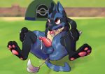  2020 absurd_res anal anal_penetration animal_genitalia animal_penis anthro anus balls canine_penis erection feathers genitals hi_res lucario male nintendo nude penetration penis pok&eacute;mon pok&eacute;mon_(species) sheath sitting solo spread_legs spreading tomseky toy video_games 