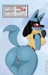  absurd_res anus big_butt blush breasts butt english_text female fur genitals hi_res lucario nintendo pok&eacute;mon pok&eacute;mon_(species) presenting presenting_pussy pussy raised_tail red_eyes showing simple_background snout solo text video_games zelripheth 