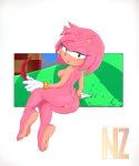  2020 amy_rose anthro barefoot breasts butt clothing eulipotyphlan female genitals gloves grass green_eyes handwear hedgehog holding_object mammal mostly_nude nipples nolegal pink_body pink_skin pussy signature soles solo sonic_the_hedgehog_(series) toes video_games 