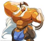  anthro big_bulge bulge clothed clothing equine girly hat horse huge_muscles humanoid_penis looking_at_viewer male mammal muscular muscular_male pecs penis rope siriusdog solo standing topless underwear vein 