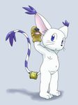  digimon gatomon tagme 