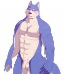  2012 anthro arufina_w balls barazoku blue_body blue_fur blush canid canine canis eyes_closed flaccid fur genitals humanoid_hands humanoid_penis kemono male mammal muscular penis simple_background solo white_background 