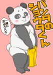  2020 balls belly black_body black_fur blush bulge cub fur genitals giant_panda hebokun japanese_text kemono male mammal overweight overweight_male simple_background solo text towel ursid white_body white_fur young 