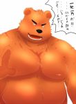  2015 anthro arufina_w belly black_nose brown_body brown_fur fur humanoid_hands japanese_text kemono male mammal moobs nipples overweight overweight_male simple_background solo text ursid white_background 