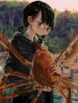  1girl absurdres animal bangs black_hair blue_eyes blurry blurry_background crab glasses highres holding holding_animal huge_filesize jacket katakai low_twintails original outdoors red_neckwear twintails upper_body 