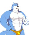  2014 anthro arufina_w barazoku blue_body blue_fur bulge canid canine canis clothing fur humanoid_hands kemono male mammal muscular navel nipples simple_background solo underwear white_background white_body white_fur wolf 