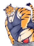  2016 anthro asian_clothing belly bottomwear bulge clothing east_asian_clothing felid fundoshi humanoid_hands japanese_clothing kemono male mammal navel overweight overweight_male pantherine pants pink_nose pubes shirt simple_background solo tiger topwear underwear white_background yaoyasohachi 