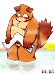  2014 anthro balls bathing belly big_dick_day blush brown_body brown_fur canid canine erection fur genitals hi_res japanese_text kemono male mammal moobs nipples overweight overweight_male penis raccoon_dog solo tanuki text towel water wet yaoyasohachi 