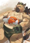  2020 absurd_res anthro belly brown_body brown_fur cai1448331577 canid canine canis domestic_dog duo eyes_closed fur hi_res humanoid_hands kemono male mammal moobs overweight overweight_male scar sumo tokyo_afterschool_summoners video_games yasuyori 