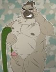  2020 anthro balls belly blush canid canine canis domestic_dog erection genitals goujuyu humanoid_hands humanoid_penis kemono male mammal moobs nipples overweight overweight_male penis solo tokyo_afterschool_summoners video_games yasuyori 