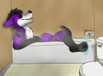  anthro bath canid canine canis domestic_dog elkhound invalid_color male mammal pawalo paws relaxing spitz 