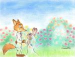  2018 anthro canid canine cheek_tuft clothed clothing disney dress duo facial_tuft flower fox fully_clothed fur grass grey_body grey_fur hand_holding judy_hopps lagomorph leporid mammal nick_wilde orange_body orange_fur outside plant rabbit red_fox shrub sky smile soranoiro_(artist) standing traditional_media_(artwork) tuft wedding_dress zootopia 