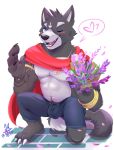  &lt;3 2020 abs adastra amicus_(adastra) anthro barefoot biceps black_body black_fur blue_eyes blush body_hair bottomwear bouquet bulge canid canine canis cape claws clothed clothing digital_media_(artwork) fangs fur grey_body grey_fur happy happy_trail hi_res jewelry kemono_online kneeling looking_at_viewer male mammal multicolored_body multicolored_fur musclegut muscular muscular_male navel one_eye_closed pants pecs petals proposal royalty simple_background smile solo speech_bubble tongue topless two_tone_body two_tone_fur white_background wink wolf 