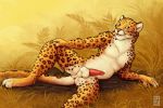  2018 anchee anthro anus balls bodily_fluids cum cum_drip dripping erection felid fur genital_fluids genitals jaguar long_tail looking_at_viewer lying male mammal nude outside pantherine penis seductive solo spots spotted_body spotted_fur spread_legs spreading tongue tongue_out 