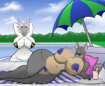  beverage big_breasts big_butt bikini breasts butt canid canine canis clothing cloud day dobermann domestic_cat domestic_dog eyewear felid feline felis female hayakain huge_breasts mammal pinscher sky sunglasses swimming_pool swimwear umbrella 