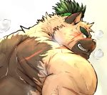 2020 anthro blush bodily_fluids brown_body brown_fur canid canine canis domestic_dog fur kemono kotobuki male mammal overweight overweight_male scar solo sweat tokyo_afterschool_summoners video_games yasuyori 
