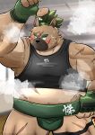  2020 absurd_res anthro belly black_nose blush brown_body brown_fur canid canine canis clothing cute_fangs domestic_dog fur hi_res humanoid_hands juniku_sushi kemono male mammal navel overweight overweight_male scar shirt solo sumo tokyo_afterschool_summoners topwear video_games yasuyori 