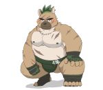  2020 anthro belly blush brown_body brown_fur canid canine canis cute_fangs domestic_dog fur hi_res hon55728 humanoid_hands kemono male mammal moobs nipples overweight overweight_male scar solo sumo tokyo_afterschool_summoners video_games white_backgorund yasuyori 