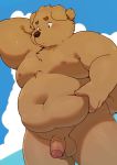  2020 absurd_res anthro balls belly blush brown_body brown_fur canid canine canis domestic_dog flaccid fur genitals hi_res humanoid_hands kemono male mammal moobs navel nipples outside overweight overweight_male penis quanjiang solo 