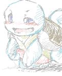  nintendo pokemon squirtle tagme 