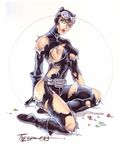  batman catwoman dc tagme tim_tyler 