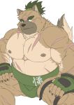  barazoku belly brown_body brown_fur canid canine canis cute_fangs domestic_dog fur hi_res humanoid_hands kemono m0000rgn mammal moobs musclegut nipples scar simple_background sumo tokyo_afterschool_summoners video_games yasuyori 