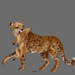  1:1 2017 absurd_res cervid cheetah dfuo digital_media_(artwork) duo felid feline feral fur grey_background hi_res mammal paws simple_background spots spotted_body spotted_fur yessys 