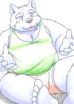  2020 anthro blush canid canine clothing humanoid_hands kemono male mammal misterdonn overweight overweight_male shirt simple_background sitting solo tongue tongue_out topwear underwear 