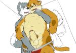  2019 anthro anthro_on_anthro balls belly blush bodily_fluids canid canine clothing duo erection felid feline genitals hi_res hug hugging_from_behind humanoid_hands humanoid_penis kemono male male/male mammal moobs navel nipples overweight overweight_male penis reddo12340 sweat underwear 