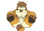  2019 ? anthro anus balls belly blush brown_body brown_fur butt canid canine canis domestic_dog eyewear flaccid fur genitals glasses hi_res humanoid_penis kemono male mammal moobs navel nipples overweight overweight_male penis reddo12340 simple_background solo white_background young 